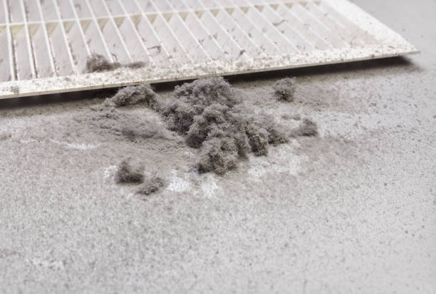 Best Affordable Duct Cleaning Services  in Norco, LA
